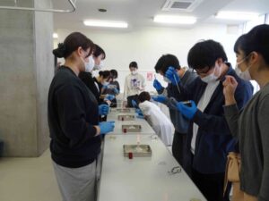 １年生　微生物学実験　