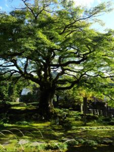 1年生 座禅体験